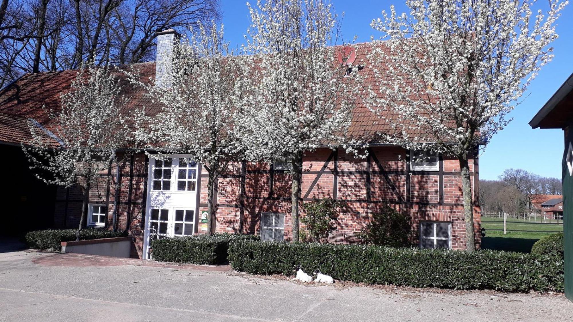 Landhaus Am Esch Warendorf Exterior foto